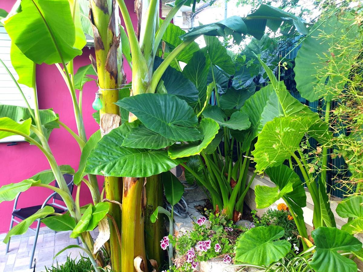 Aloe House Lakithra别墅 外观 照片