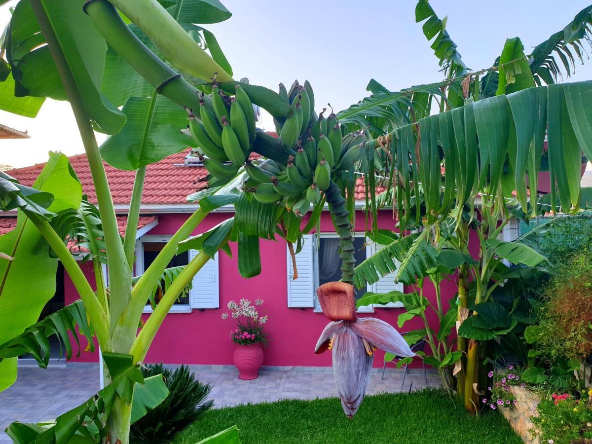 Aloe House Lakithra别墅 外观 照片