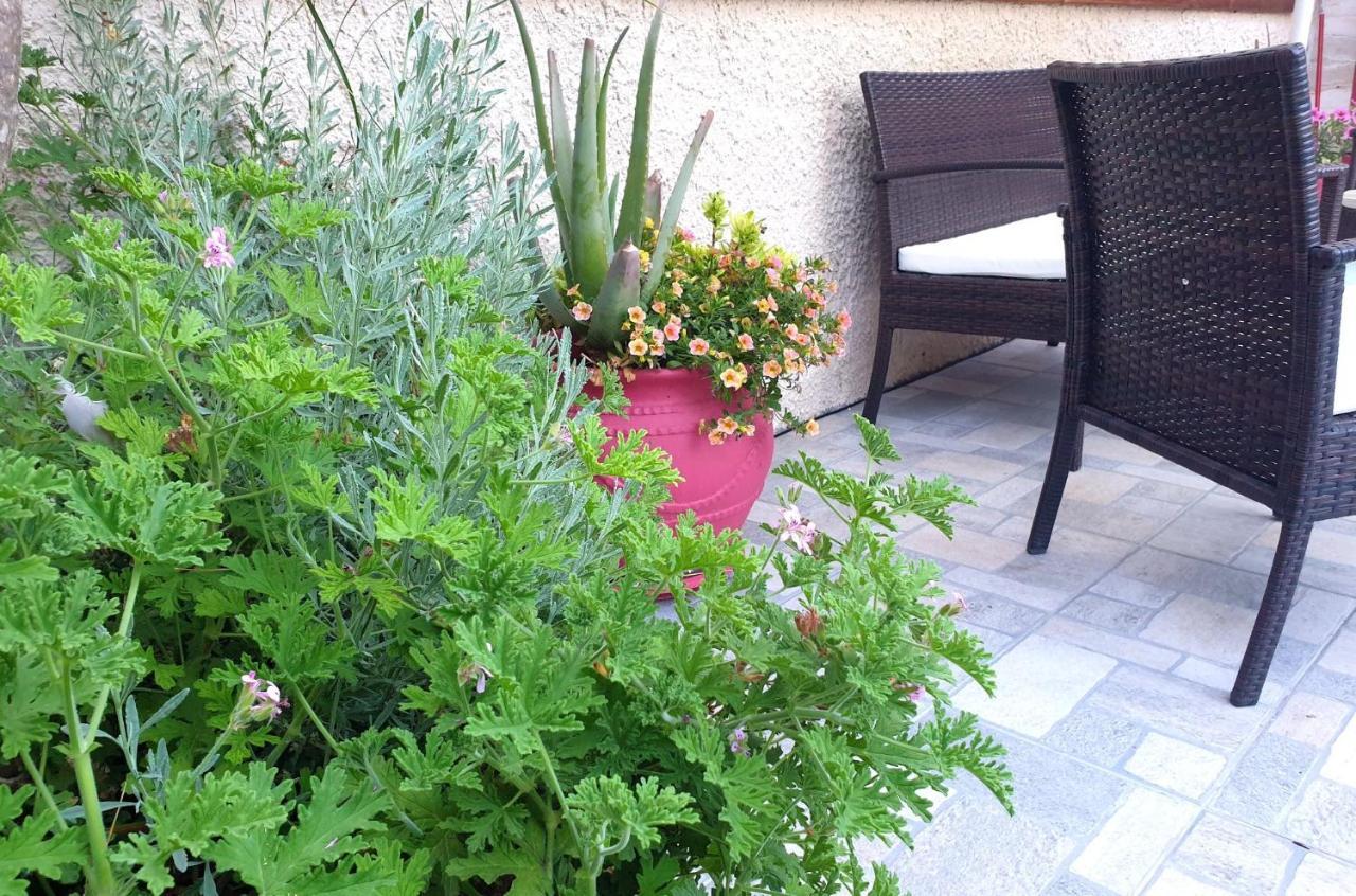 Aloe House Lakithra别墅 外观 照片